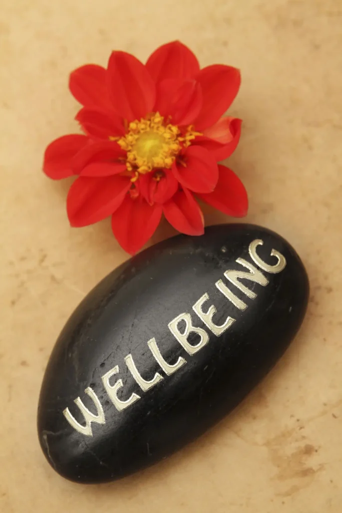 A black stone with 'WELLBEING' written next to a vibrant red flower.