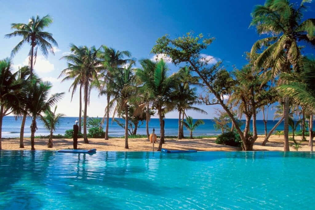 A serene poolside view with palm trees and an ocean backdrop.