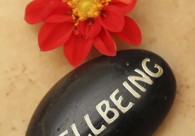 A black stone with 'WELLBEING' written next to a vibrant red flower.