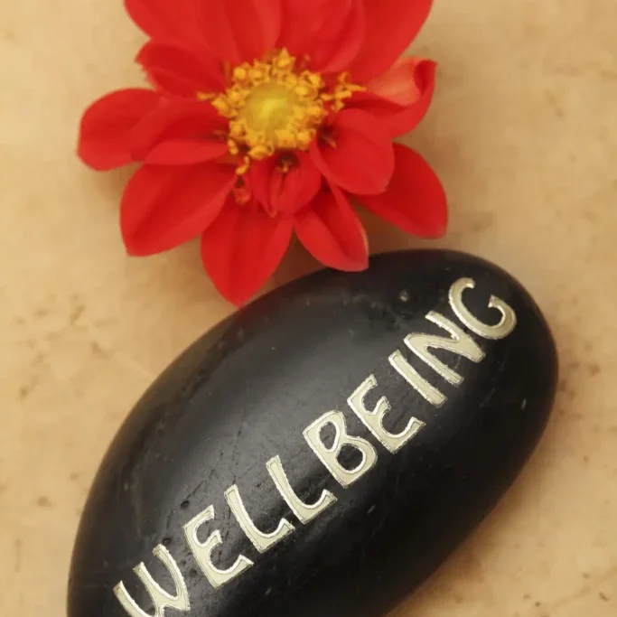 A black stone with 'WELLBEING' written next to a vibrant red flower.