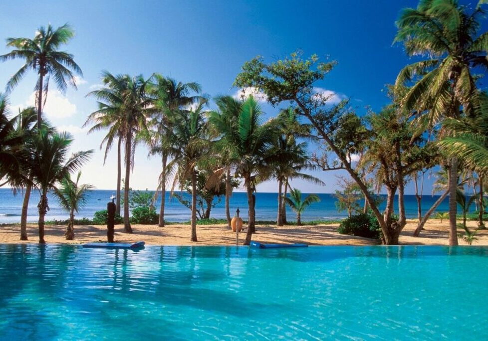 A serene poolside view with palm trees and an ocean backdrop.
